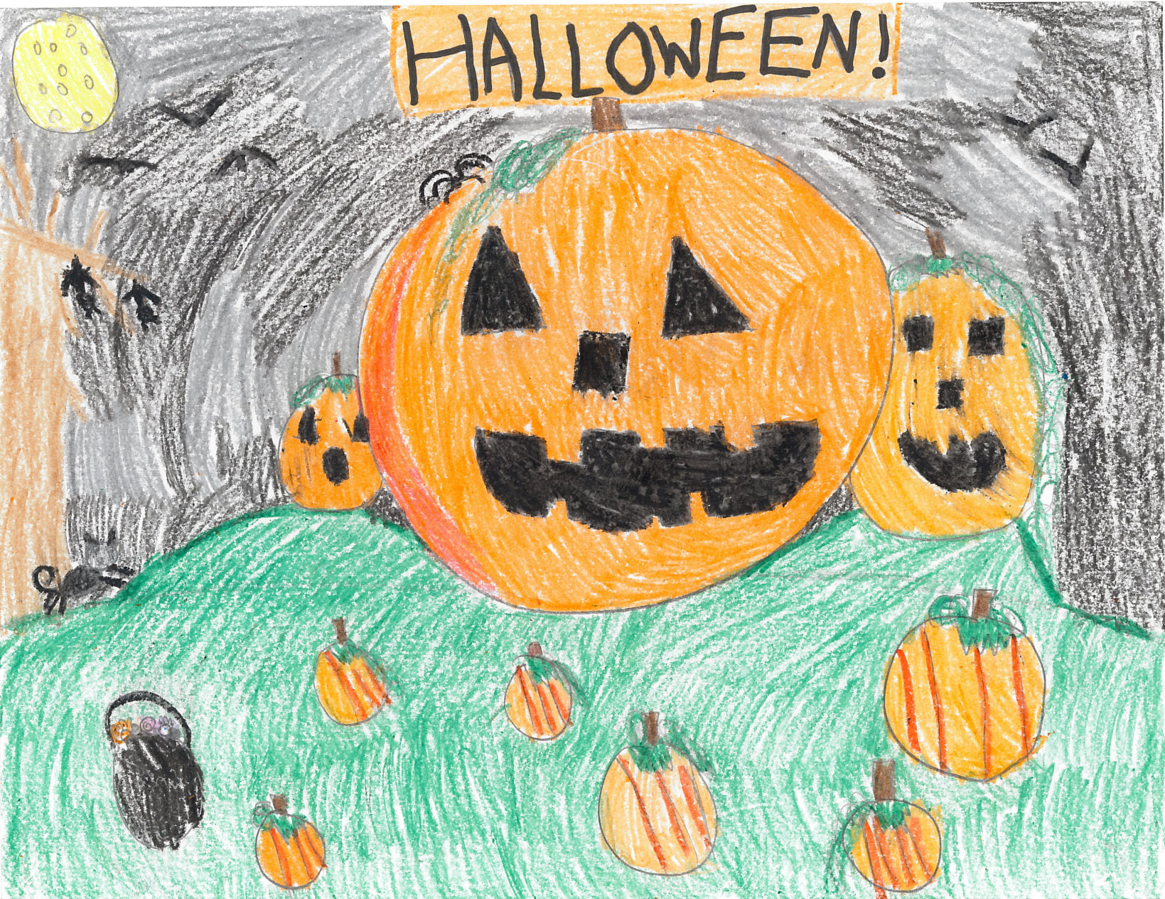 Sarah Karthikeyan, grade 3, Northpoint